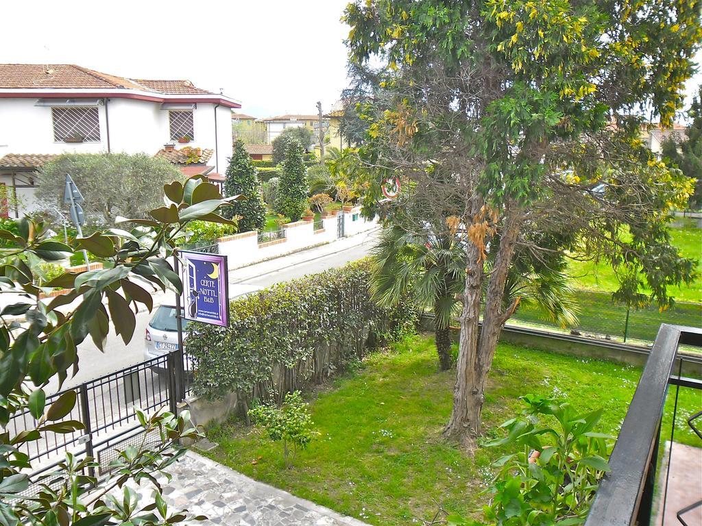 Bed and Breakfast Certe Notti Piza Zewnętrze zdjęcie
